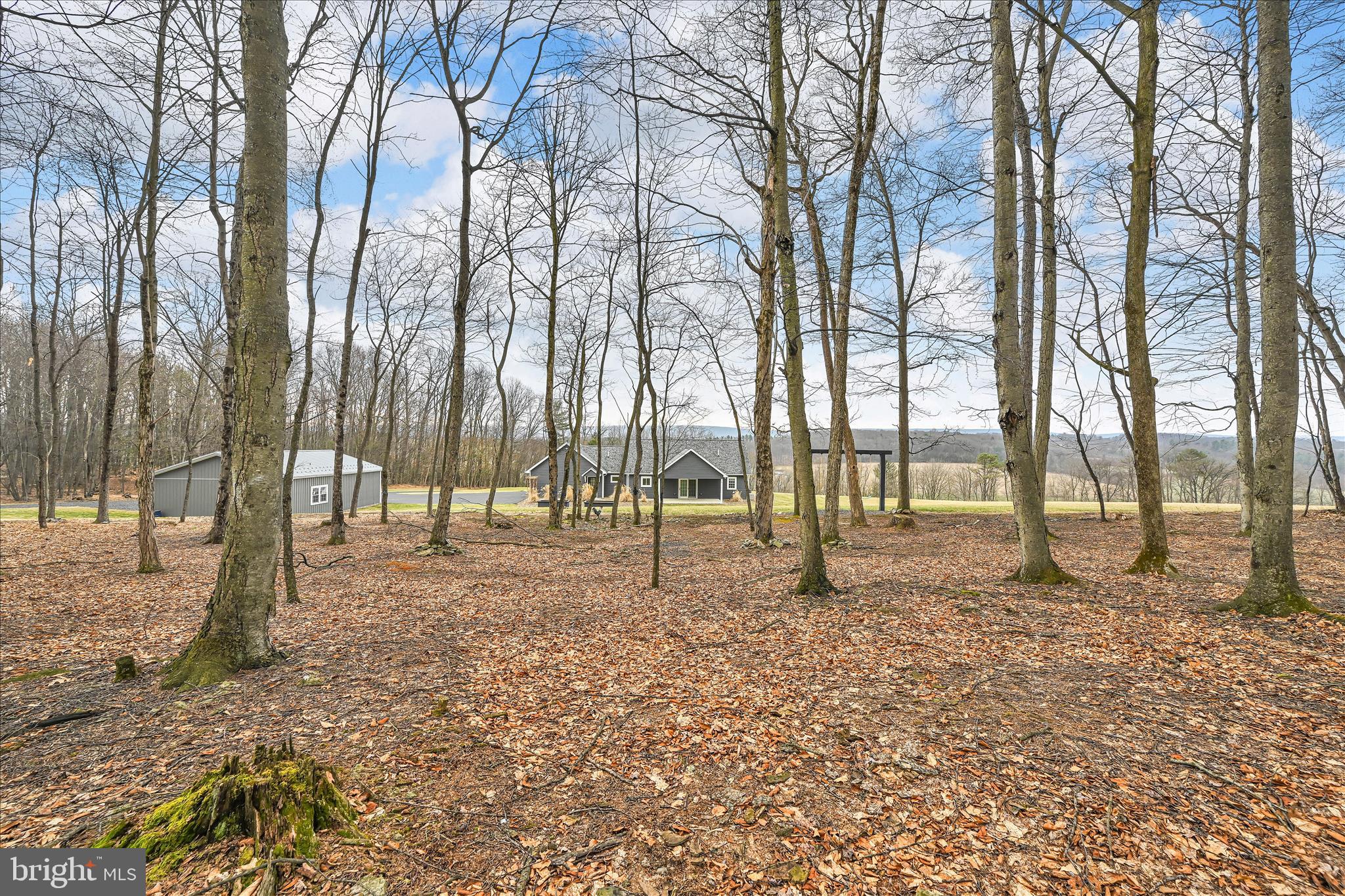 643 Deturksville Road Pine Grove, PA 17963 - Photo 49 of 59 a backyard of a house with lots of green space