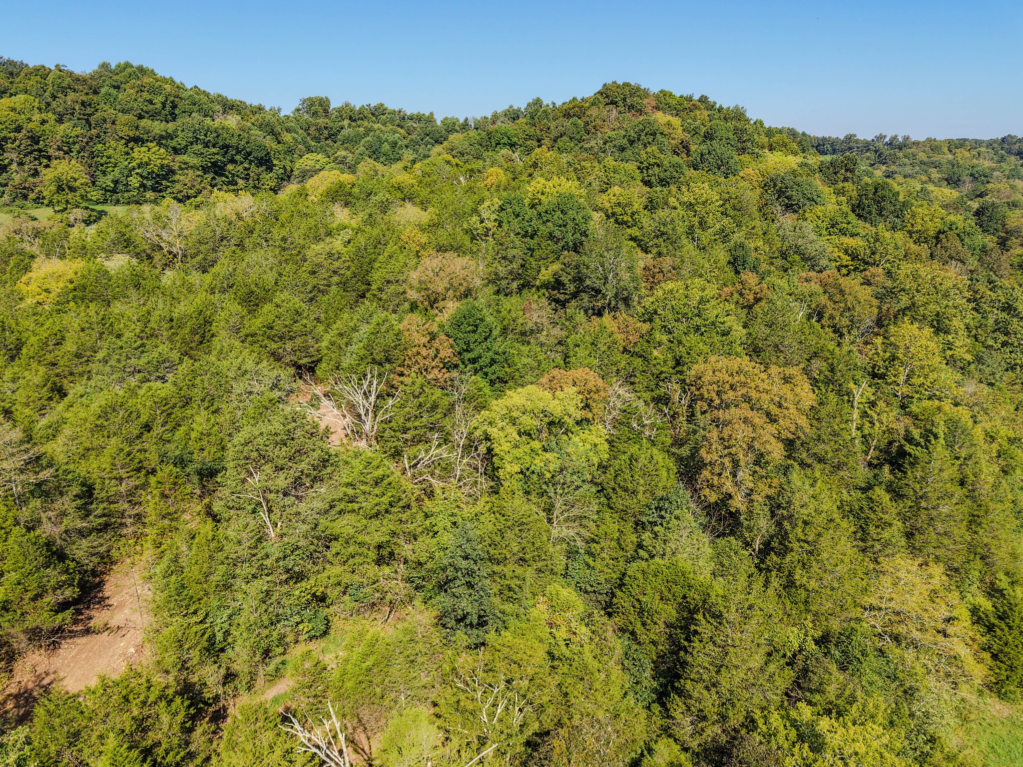 3644 Diana Ridge Road Pulaski, TN 38478 - Photo 38 of 45 Gallery Image 38