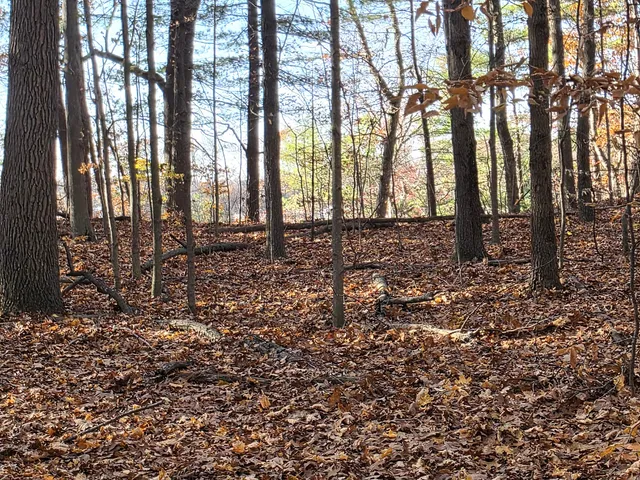 $125,000 | 1694 Westview Drive, Unit 17, Allegan, MI 49010