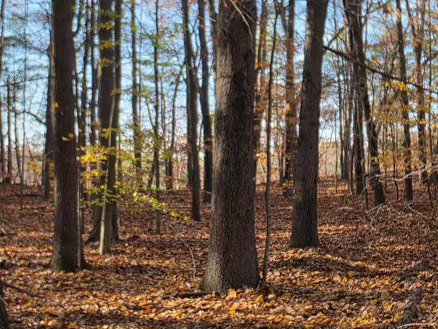 $125,000 | 1694 Westview Drive, Unit 17, Allegan, MI 49010