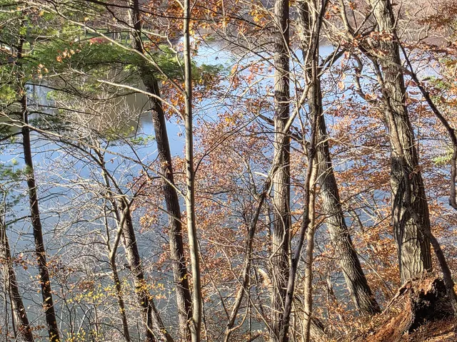 $125,000 | 1694 Westview Drive, Unit 17, Allegan, MI 49010