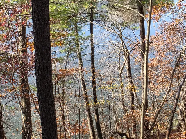 $125,000 | 1694 Westview Drive, Unit 17, Allegan, MI 49010