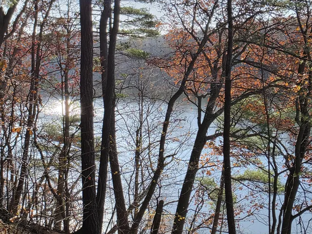 $125,000 | 1694 Westview Drive, Unit 17, Allegan, MI 49010