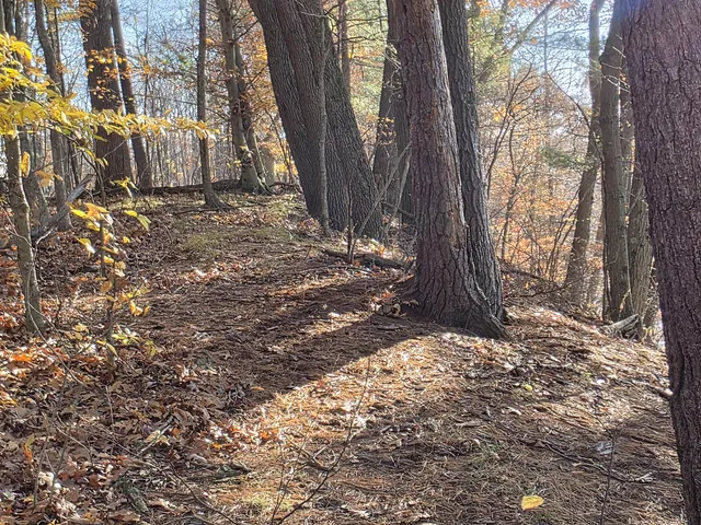 $125,000 | 1694 Westview Drive, Unit 17, Allegan, MI 49010