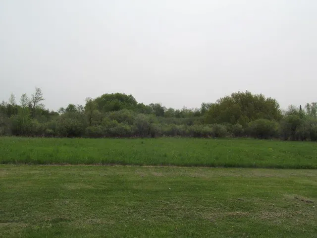 $12,900 | Lot #15 Hemlock Street, McBain, MI 49657