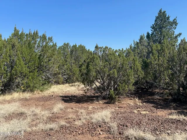 a view of a yard with mountain view
