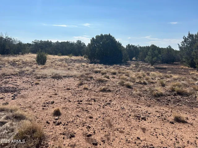 a view of a dry yard