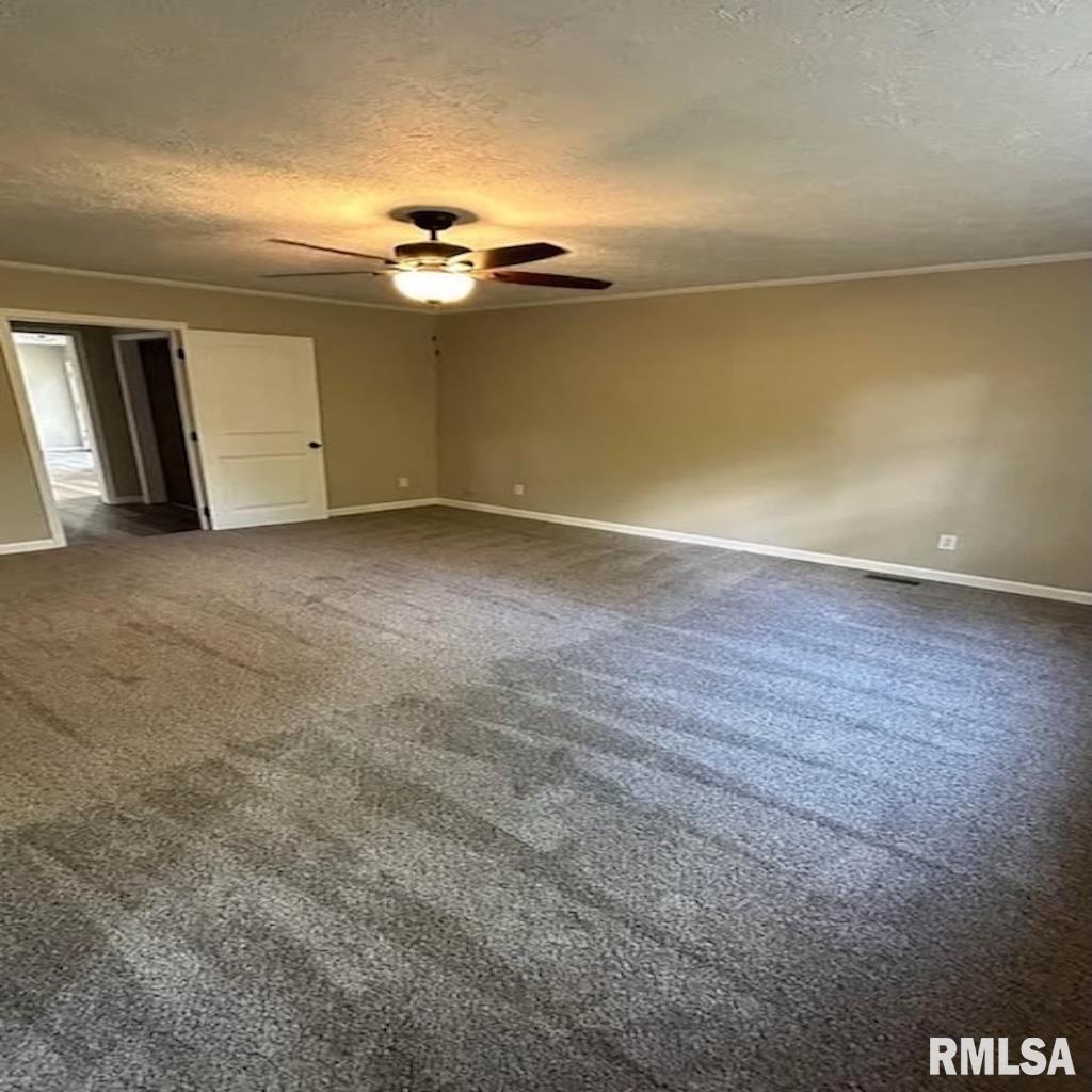 12119 Poordo Road Pittsburg, IL 62974 - Photo 11 of 30