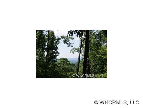 107 A Ladd Ridge Road Rosman, NC 28772 - Photo 1 of 9 Gallery Image 1