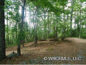 107 A Ladd Ridge Road Rosman, NC 28772 - Photo 2 of 9 Gallery Image 2