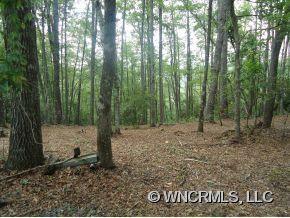 107 A Ladd Ridge Road Rosman, NC 28772 - Photo 4 of 9 Gallery Image 4