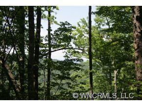 107 A Ladd Ridge Road Rosman, NC 28772 - Photo 5 of 9 Gallery Image 5