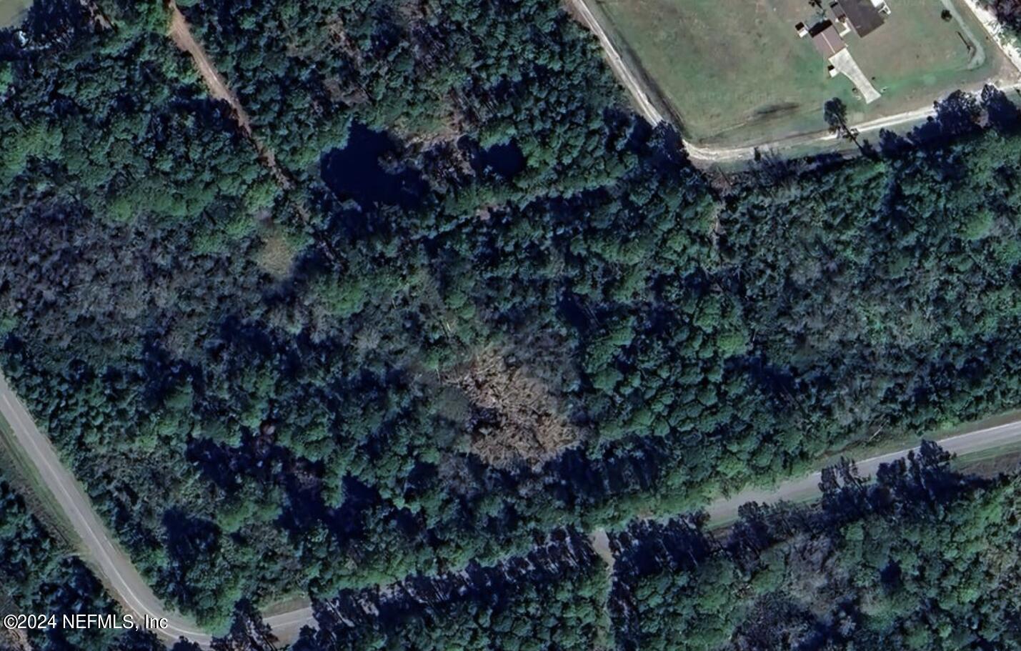 111 Roebuck Road Georgetown, FL 32139 - Photo 1 of 3 Aerial