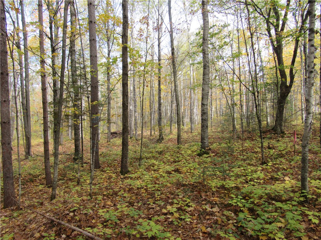 Lot 3 North Scheers Road Hayward, WI 54843 - Photo 8 of 17