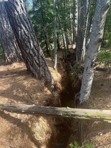 $405,000 | 29960 Wengler Hill Road, Shingletown, CA 96088