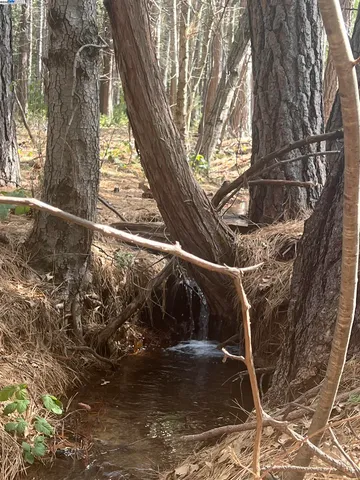 $405,000 | 29960 Wengler Hill Road, Shingletown, CA 96088