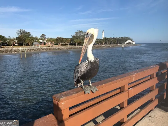 a view of beach and ocean