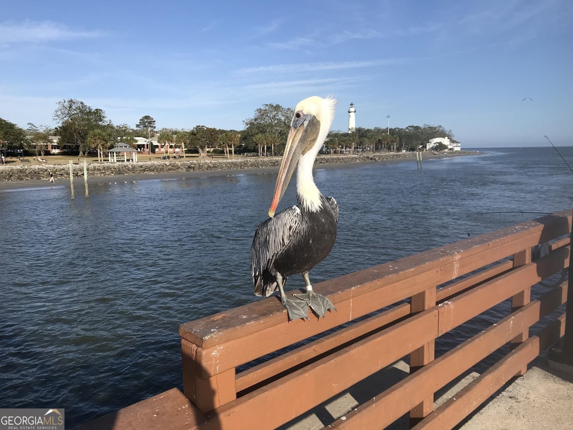 205 Mariners Circle St. Simons, GA 31522 - Photo 49 of 51 a view of a lake
