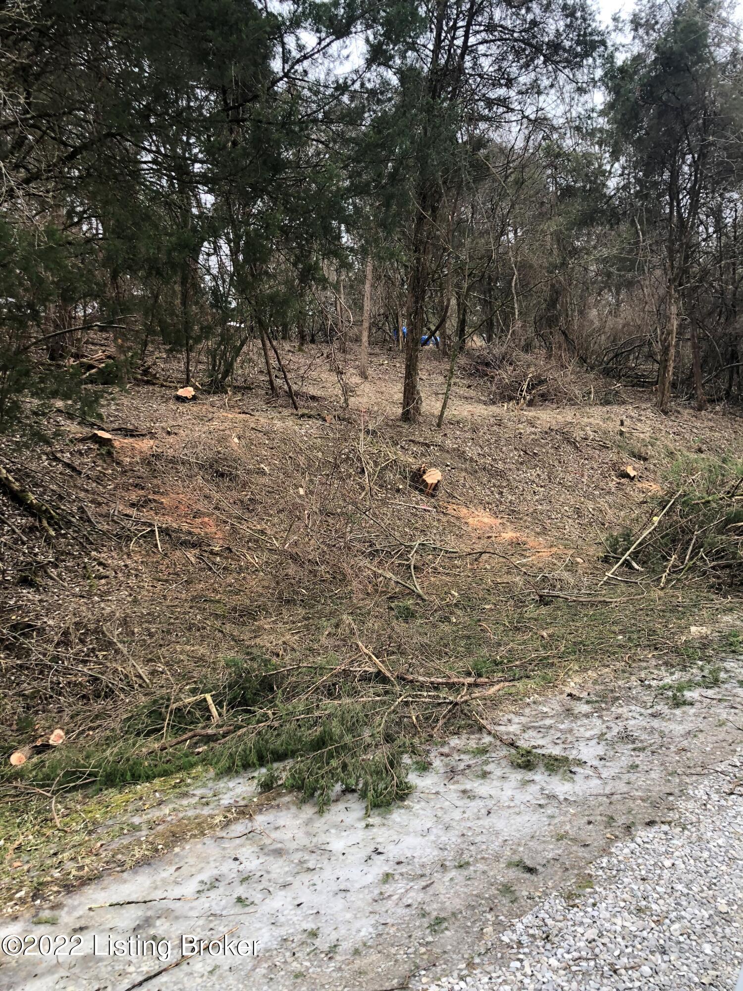 Lot 250 Cedarmore Road Bagdad, KY 40003 - Photo 9 of 10 2