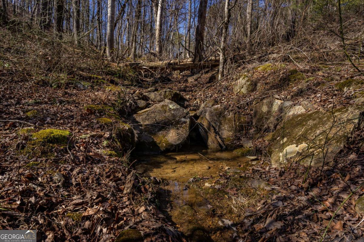 4.78-ac Bell Court Ranger, GA 30734 - Photo 11 of 15
