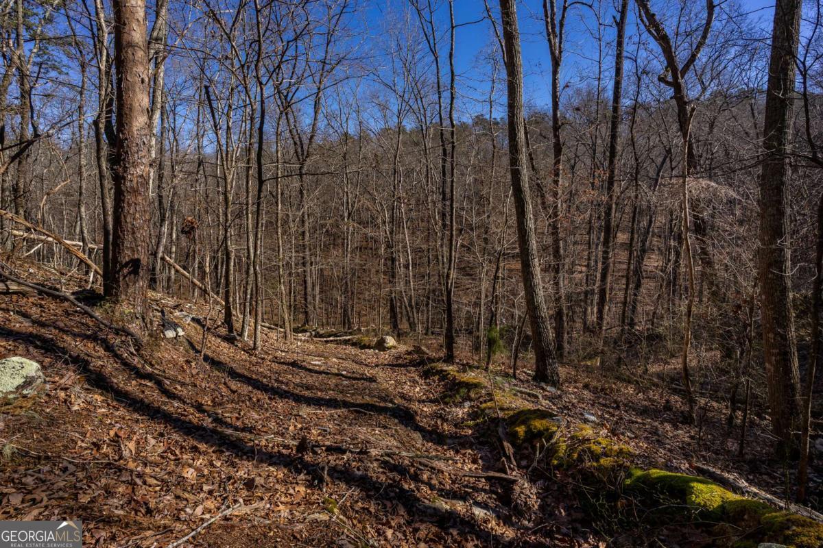 4.78-ac Bell Court Ranger, GA 30734 - Photo 12 of 15