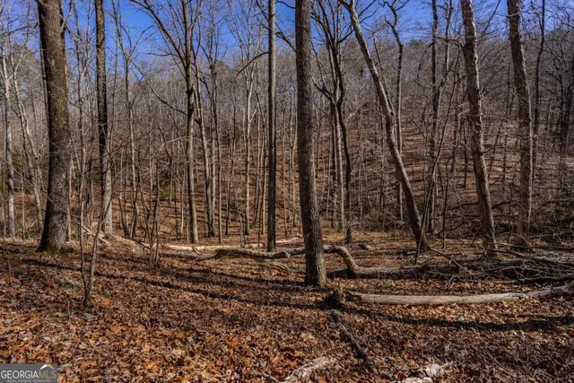 $25,500 | 4.78-ac Bell Court, Ranger, GA 30734