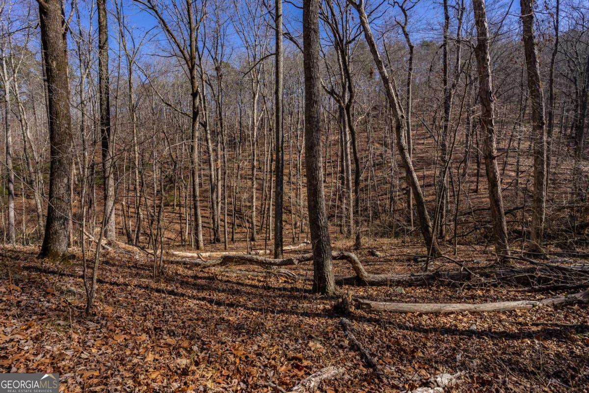 4.78-ac Bell Court Ranger, GA 30734 - Photo 13 of 15