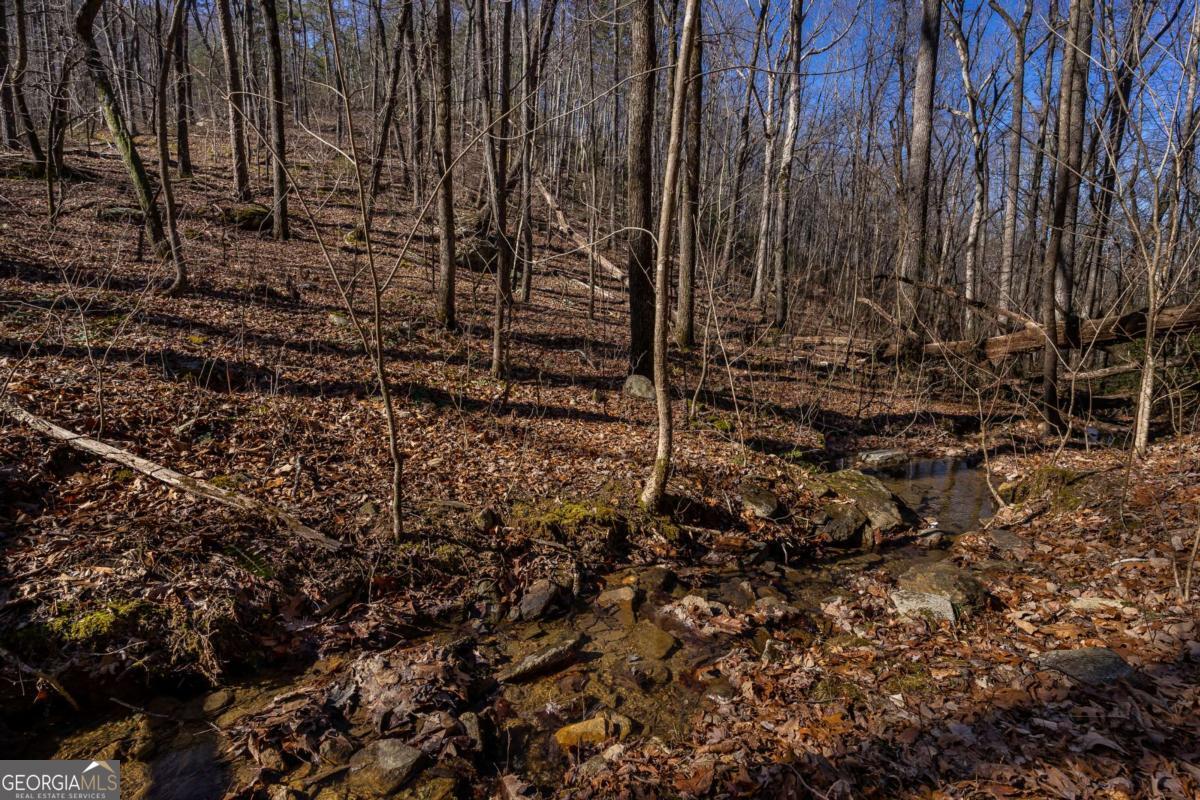 4.78-ac Bell Court Ranger, GA 30734 - Photo 14 of 15