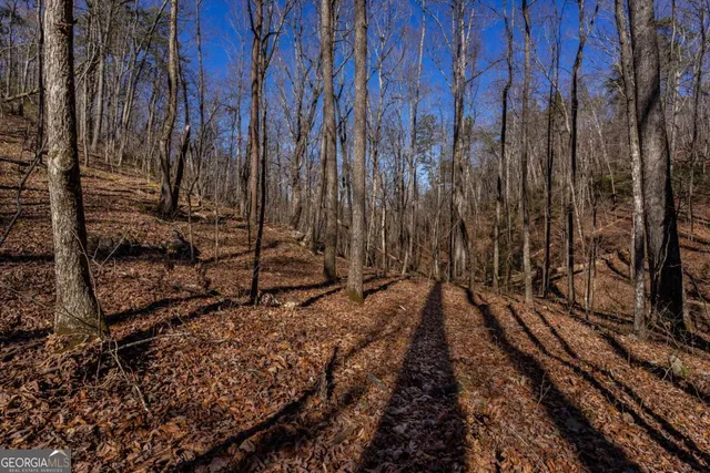 $25,500 | 4.78-ac Bell Court, Ranger, GA 30734