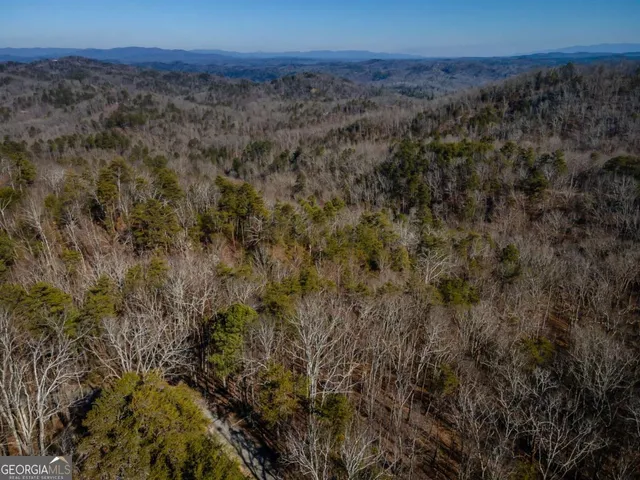 $25,500 | 4.78-ac Bell Court, Ranger, GA 30734