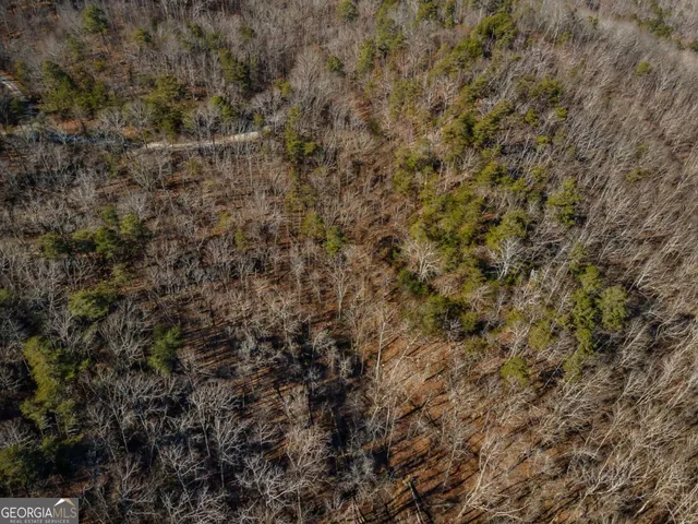 $25,500 | 4.78-ac Bell Court, Ranger, GA 30734