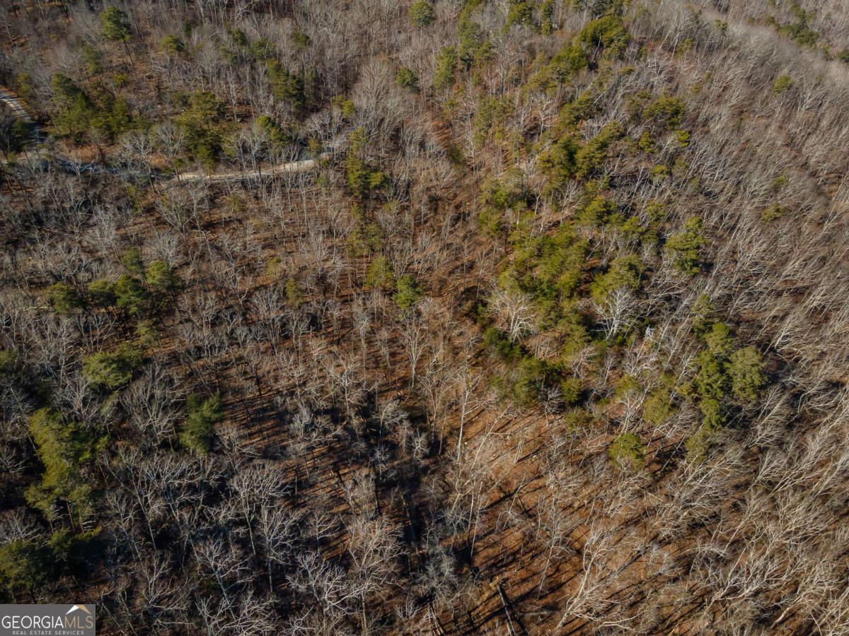4.78-ac Bell Court Ranger, GA 30734 - Photo 3 of 15