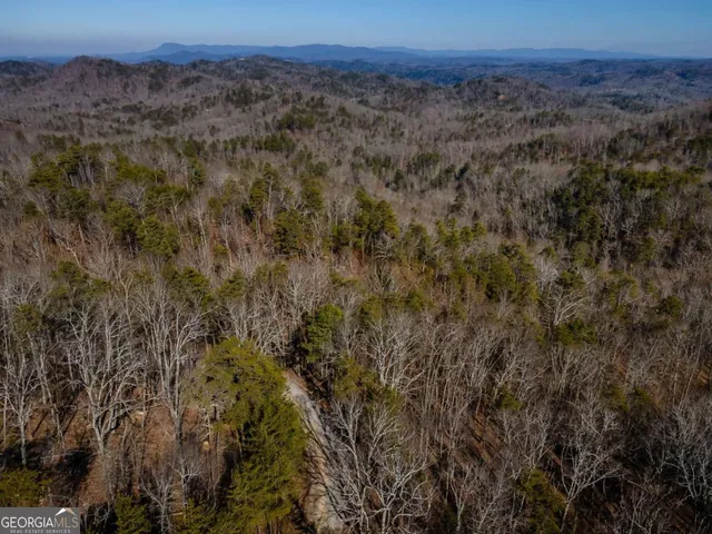 $25,500 | 4.78-ac Bell Court, Ranger, GA 30734