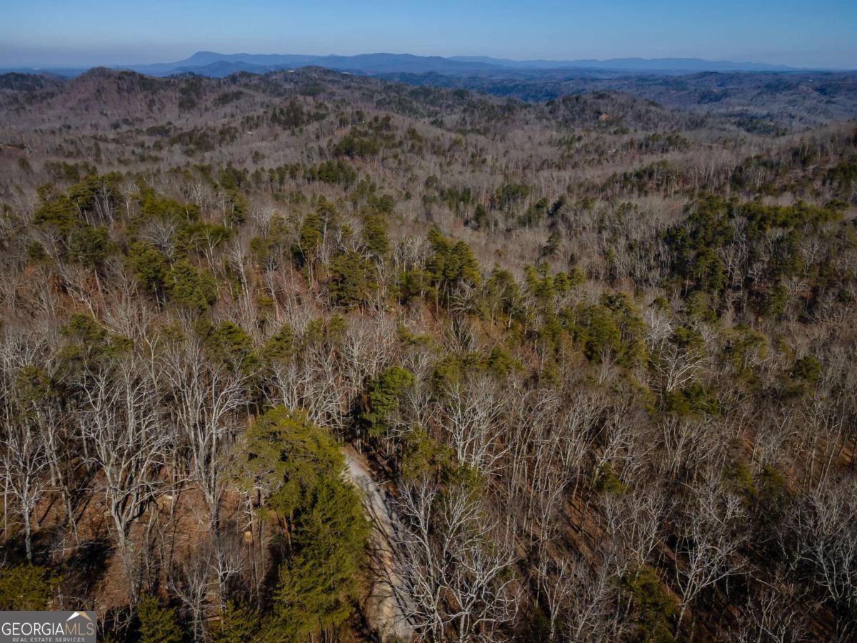 4.78-ac Bell Court Ranger, GA 30734 - Photo 4 of 15