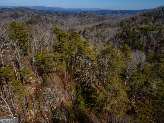 $25,500 | 4.78-ac Bell Court, Ranger, GA 30734