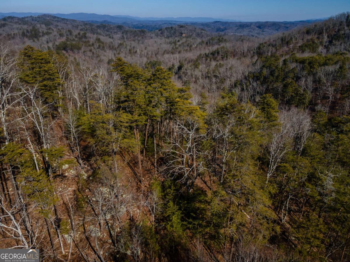 4.78-ac Bell Court Ranger, GA 30734 - Photo 7 of 15