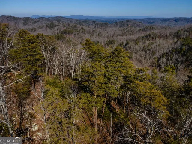 $25,500 | 4.78-ac Bell Court, Ranger, GA 30734