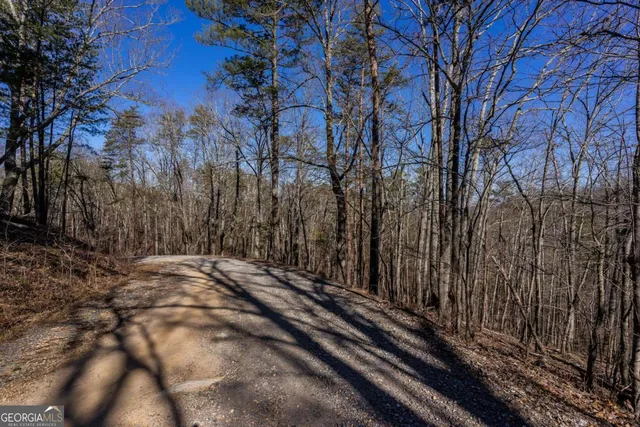 $25,500 | 4.78-ac Bell Court, Ranger, GA 30734