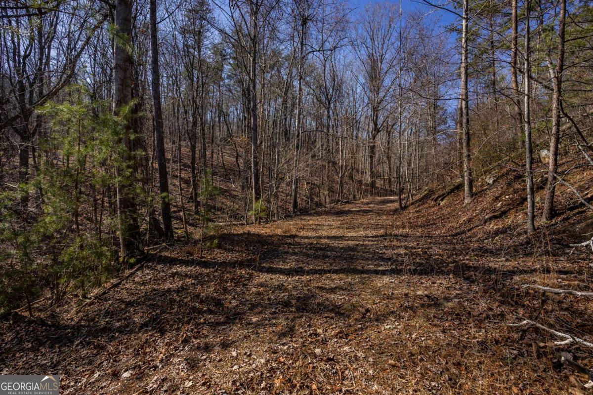 4.78-ac Bell Court Ranger, GA 30734 - Photo 10 of 15