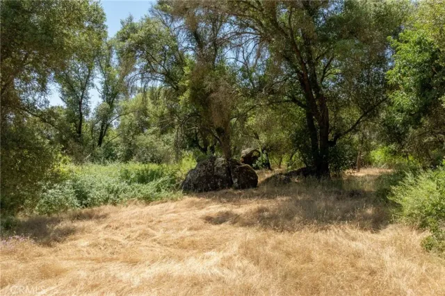 a view of a backyard of the house