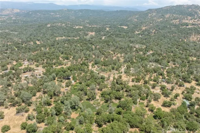 a view of a lush green forest with trees and houses