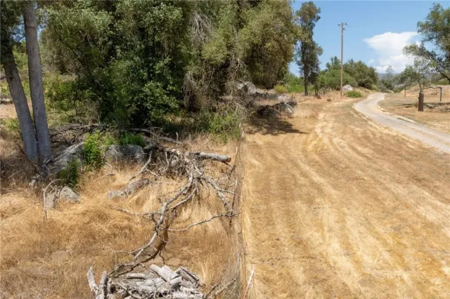 a view of a yard with plants and a bench