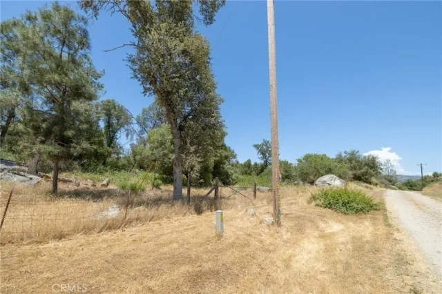 a view of empty yard with green space