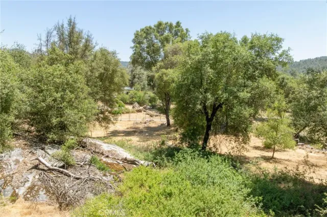 a view of a yard with a tree