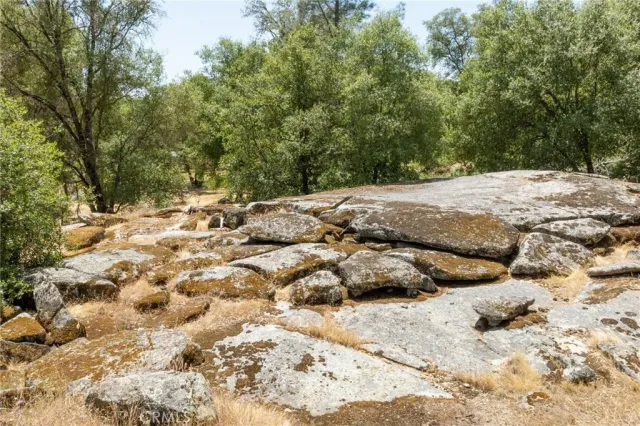 a view of a yard with a tree