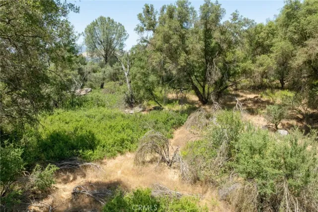 a view of a forest with mountains in the background