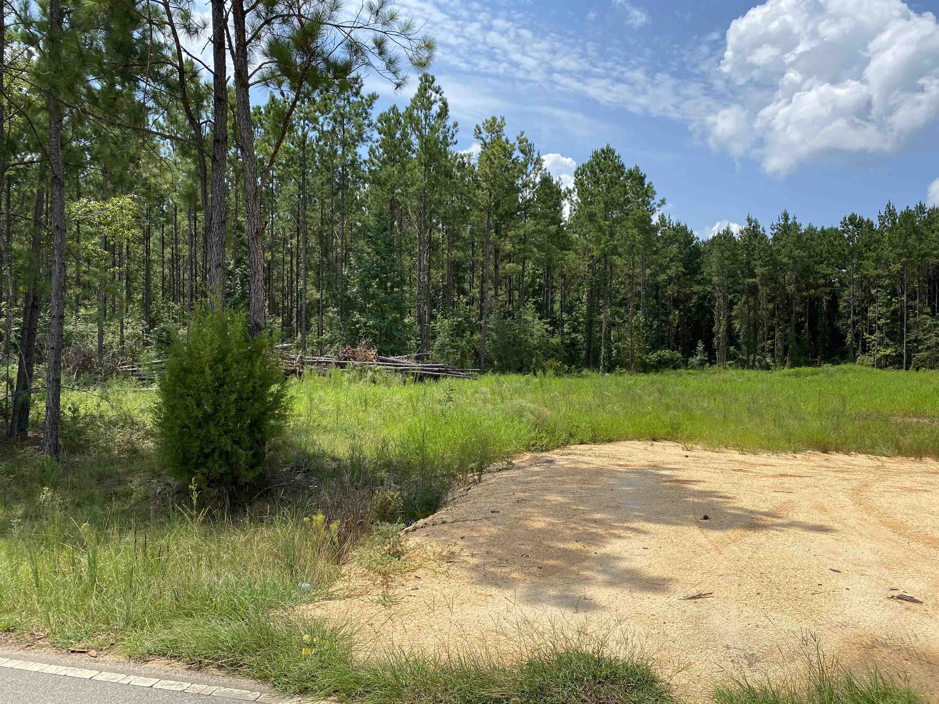 1671 Booneville Road Atmore, AL 36502 - Photo 3 of 4
