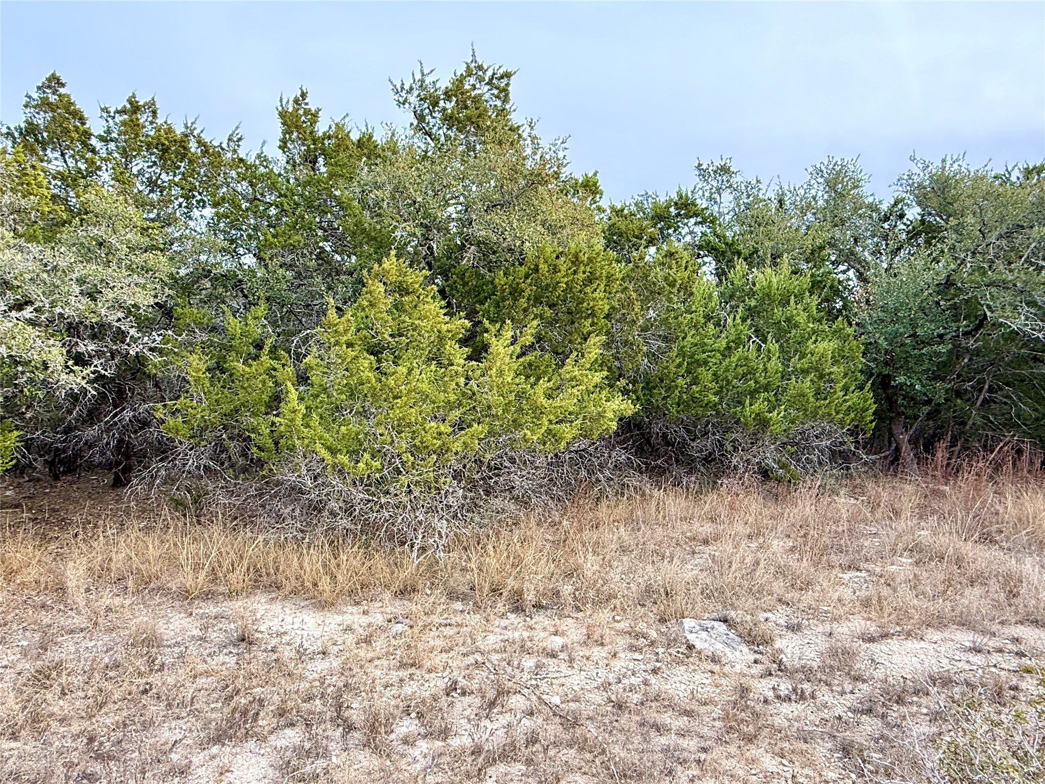 557 Abodar Trail Spring Branch, TX 78070 - Photo 8 of 22 Interior