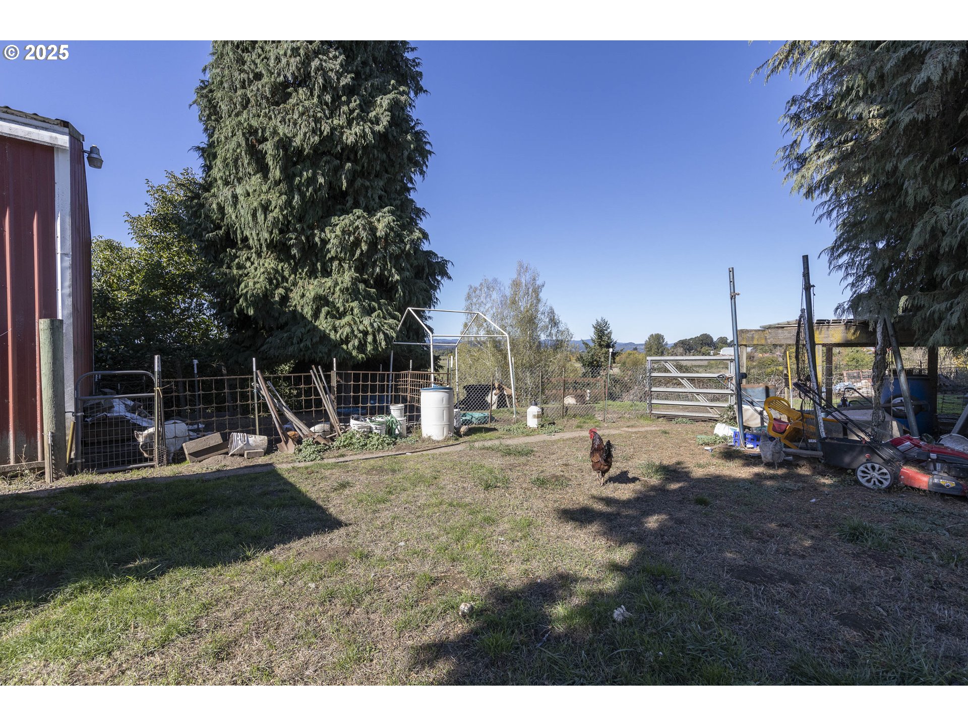 19800 Southwest Briedwell Road McMinnville, OR 97128 - Photo 21 of 35 Yard