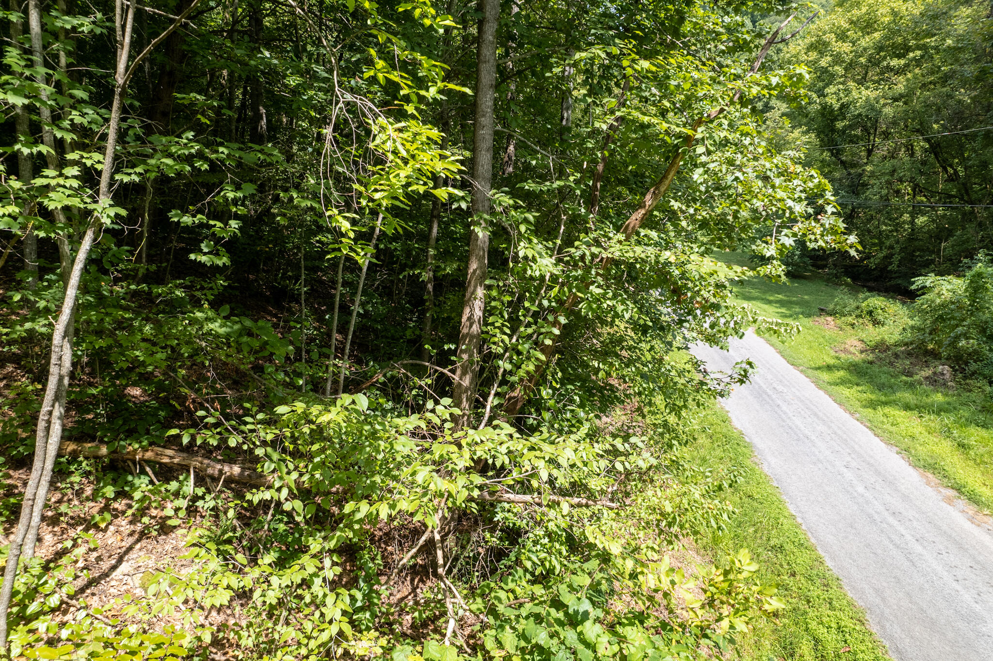 491 Sandy Valley Road Rogersville, TN 37857 - Photo 11 of 17 DJI_0295